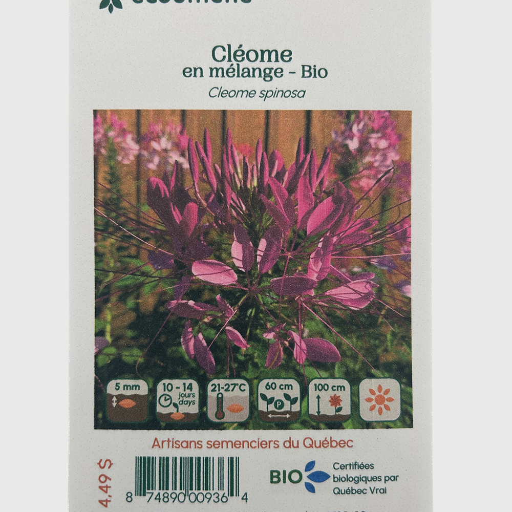 Cleome mix
