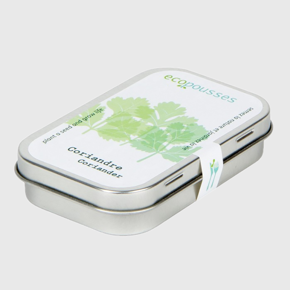Coriander - box