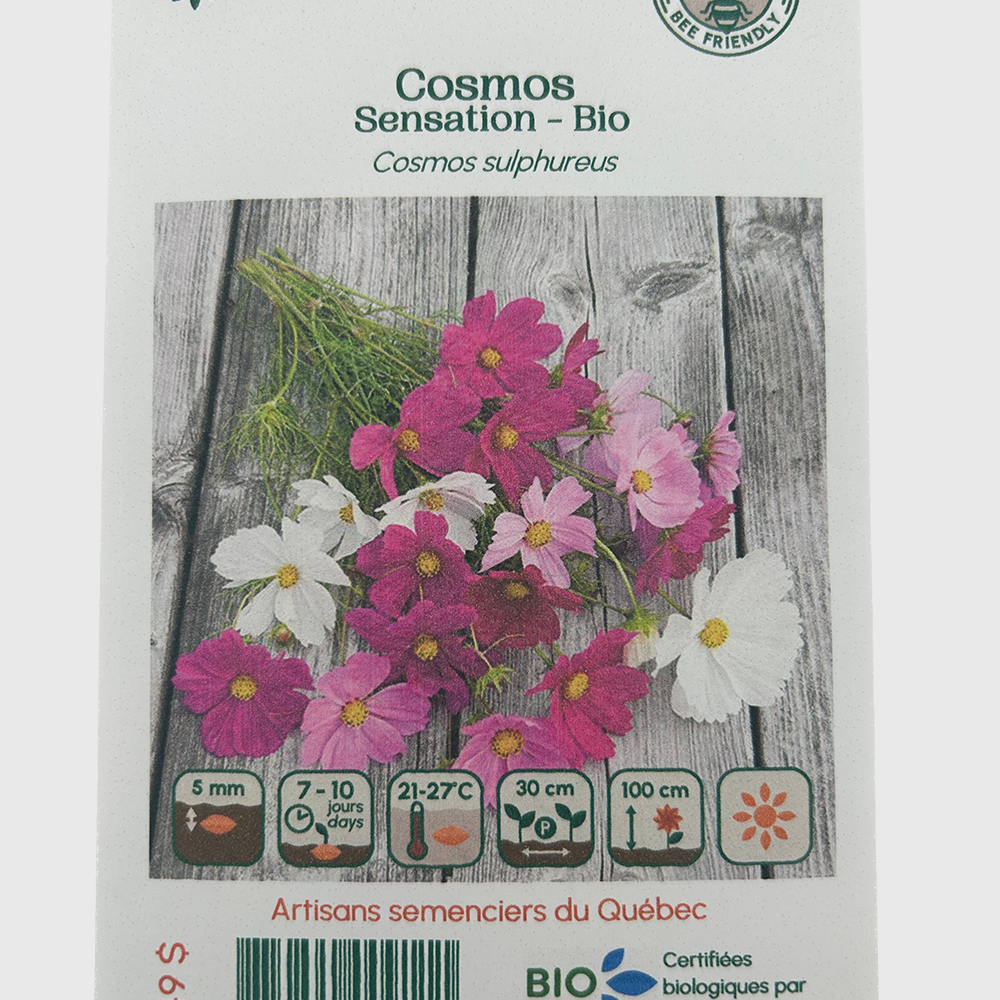 Cosmos