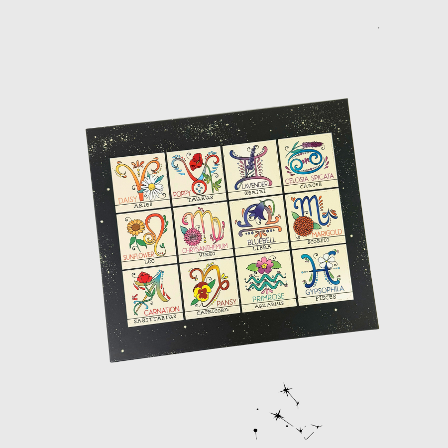 Zodiac Flower Seed Ball Flower Planting Kit