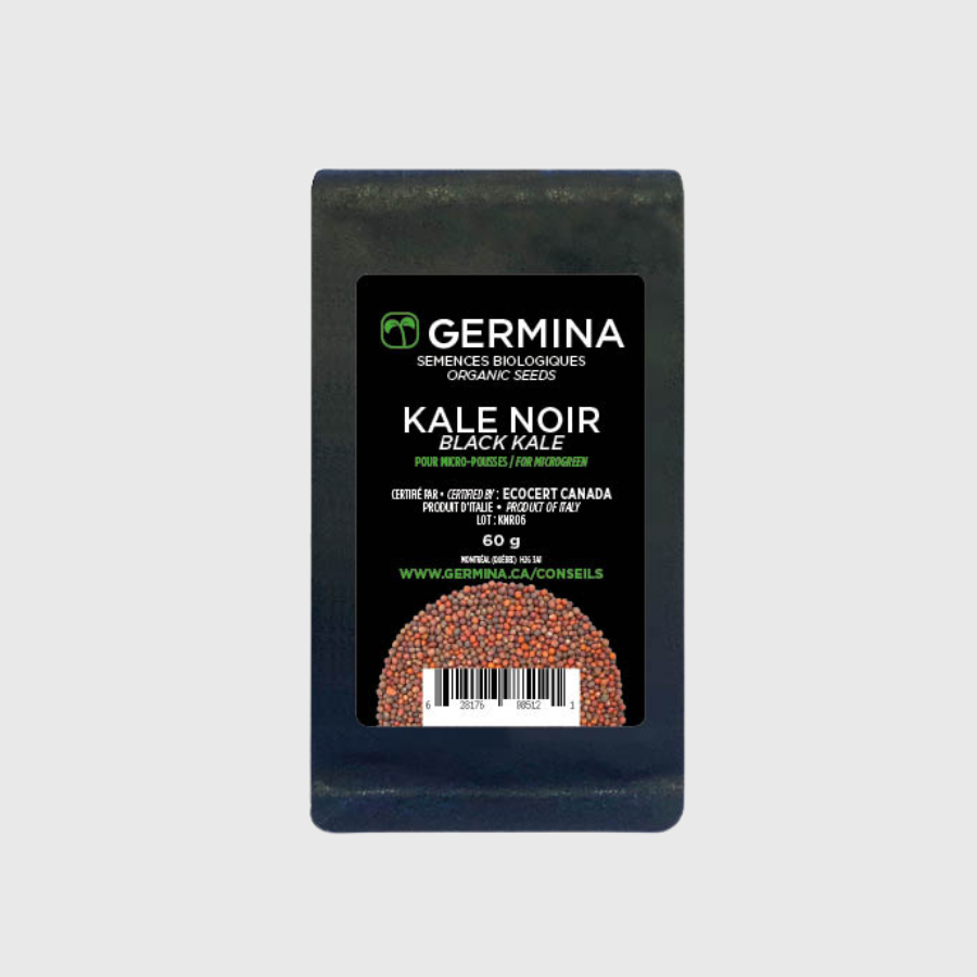 Kale Noir à germer - 60g