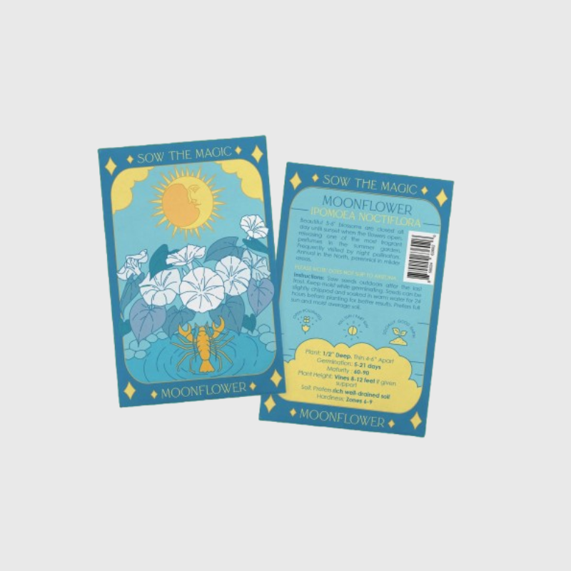 Seed Tarot Card