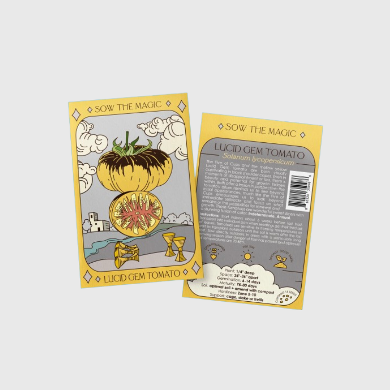 Seed Tarot Card