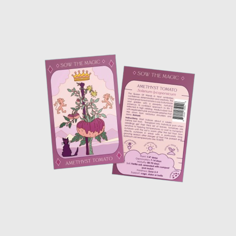 Seed Tarot Card