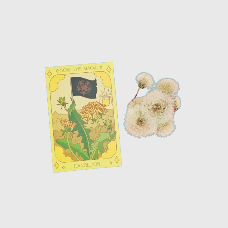 Seed Tarot Card