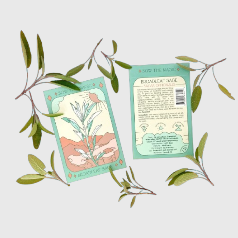 Seed Tarot Card