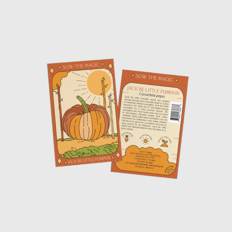Seed Tarot Card