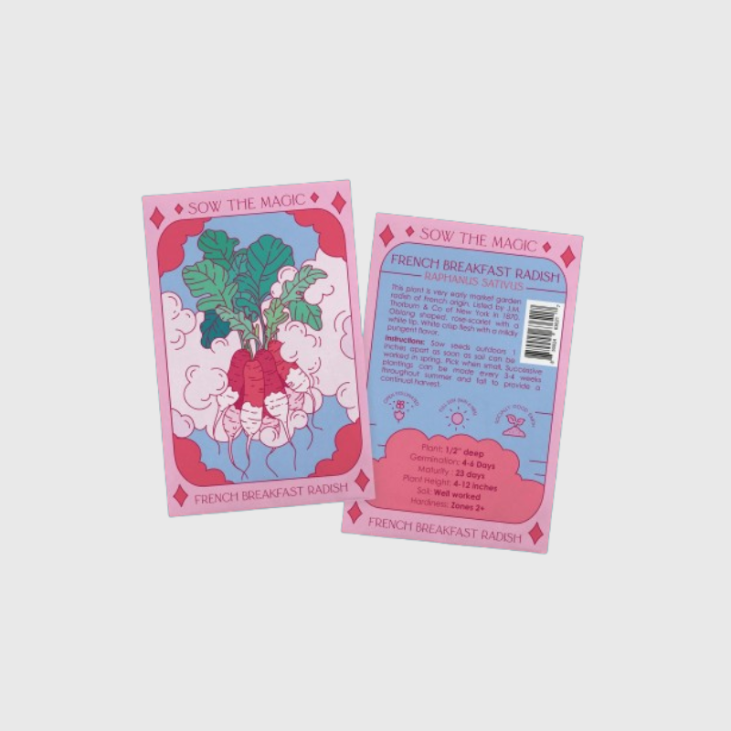 Seed Tarot Card