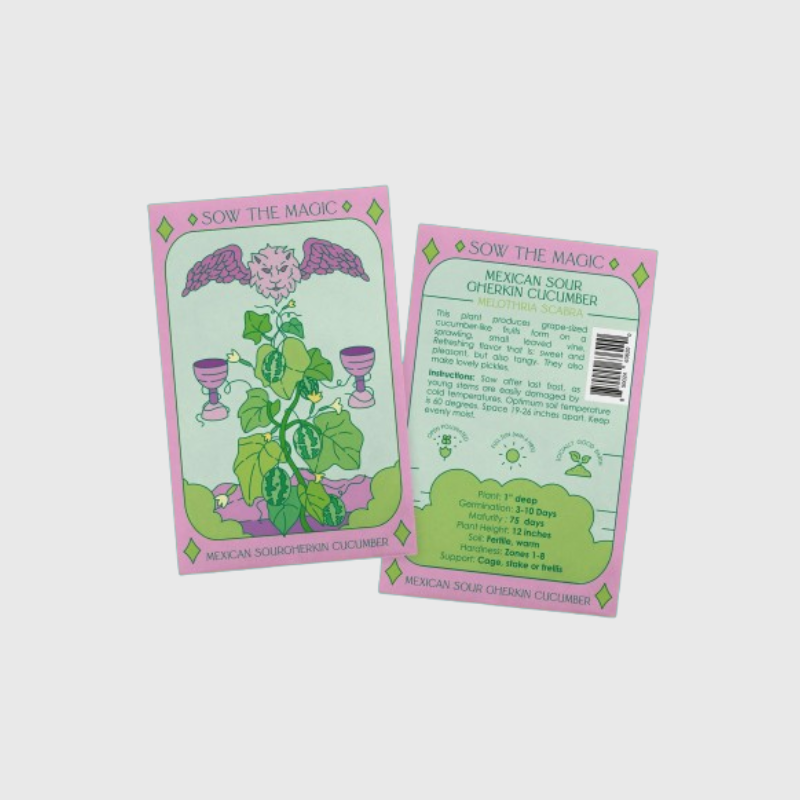 Seed Tarot Card
