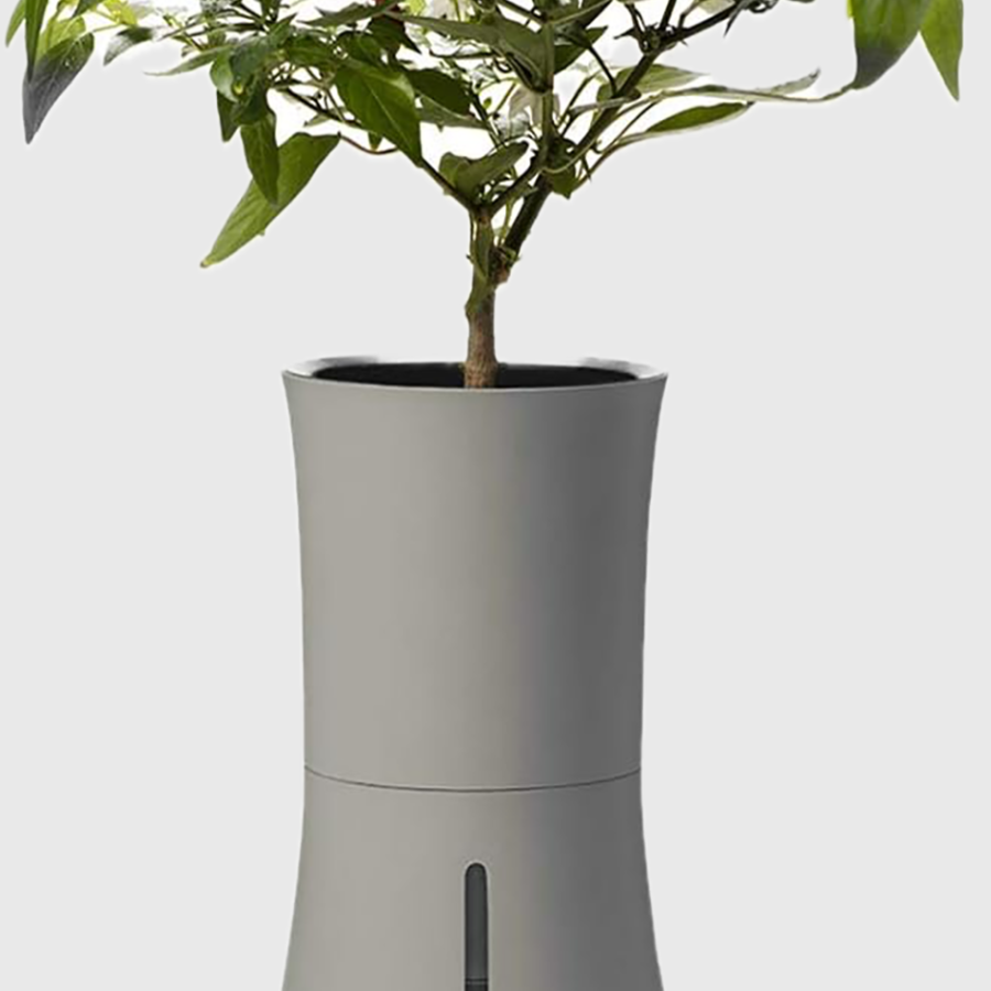 Botanium - Laurel Green – Agriculture du Coin