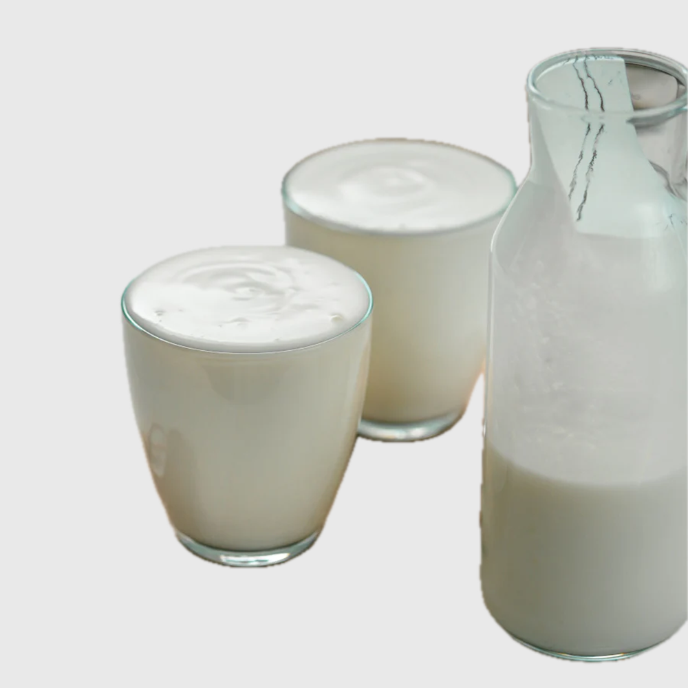 Dairy-free (vegan) yogurt culture
