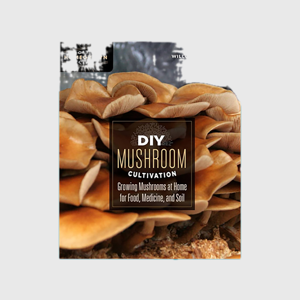 DIY Mushroom Cultivation: Growing Mushrooms at Home for Food, Medicine, and Soil