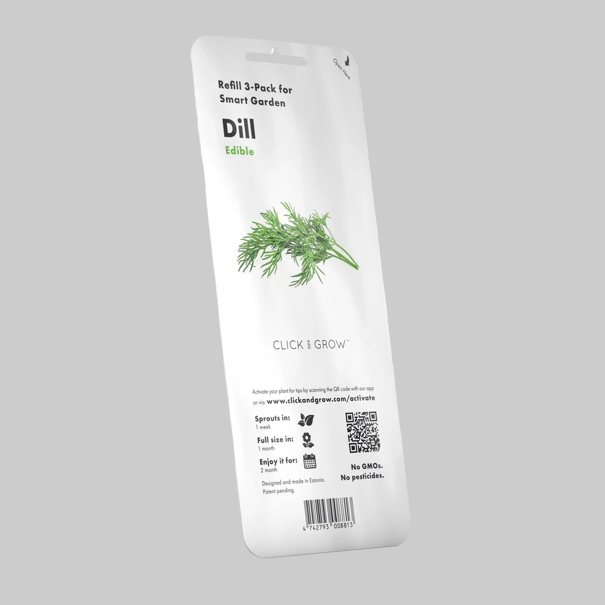 Gousses de plantes de Aneth