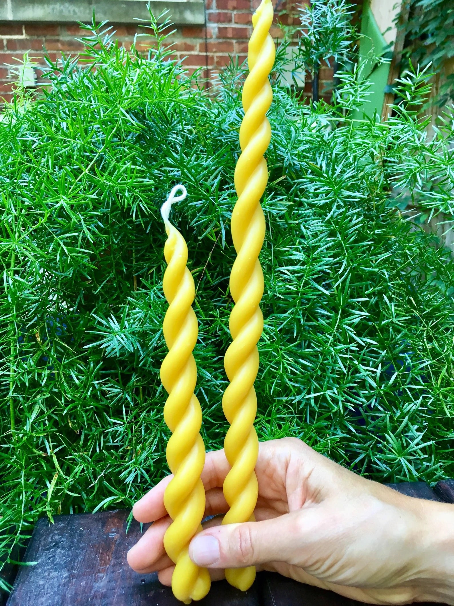 Twisted Beeswax Candle Duo