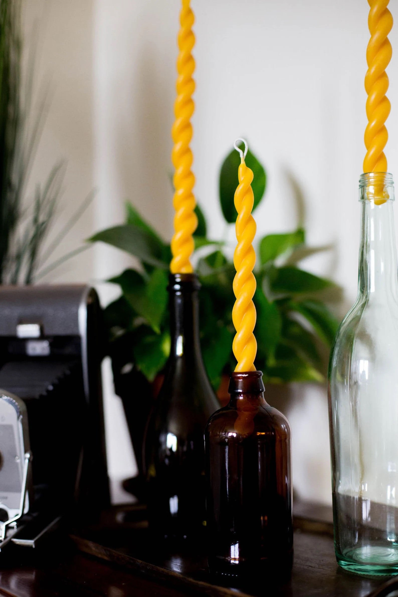Twisted Beeswax Candle Duo