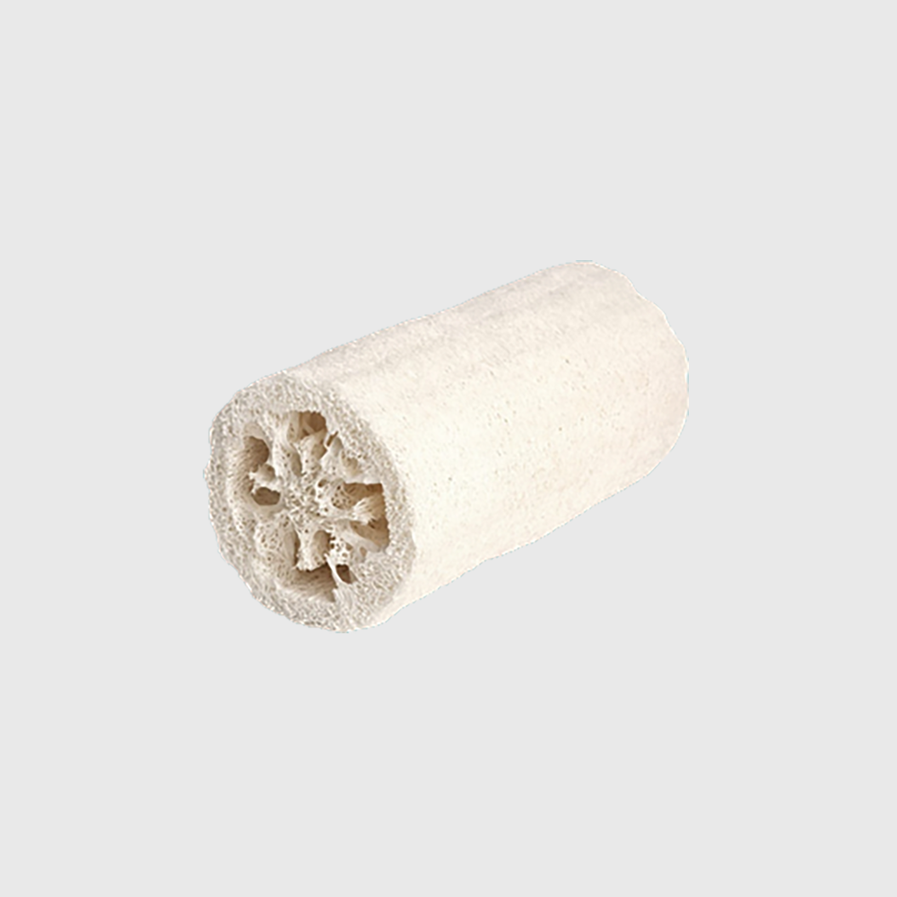 Loofah sponge