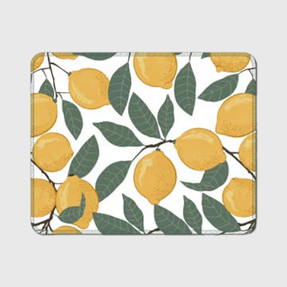 Earthly Co. Reusable Paper Towels