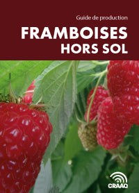 Production Guide - Soilless Raspberries