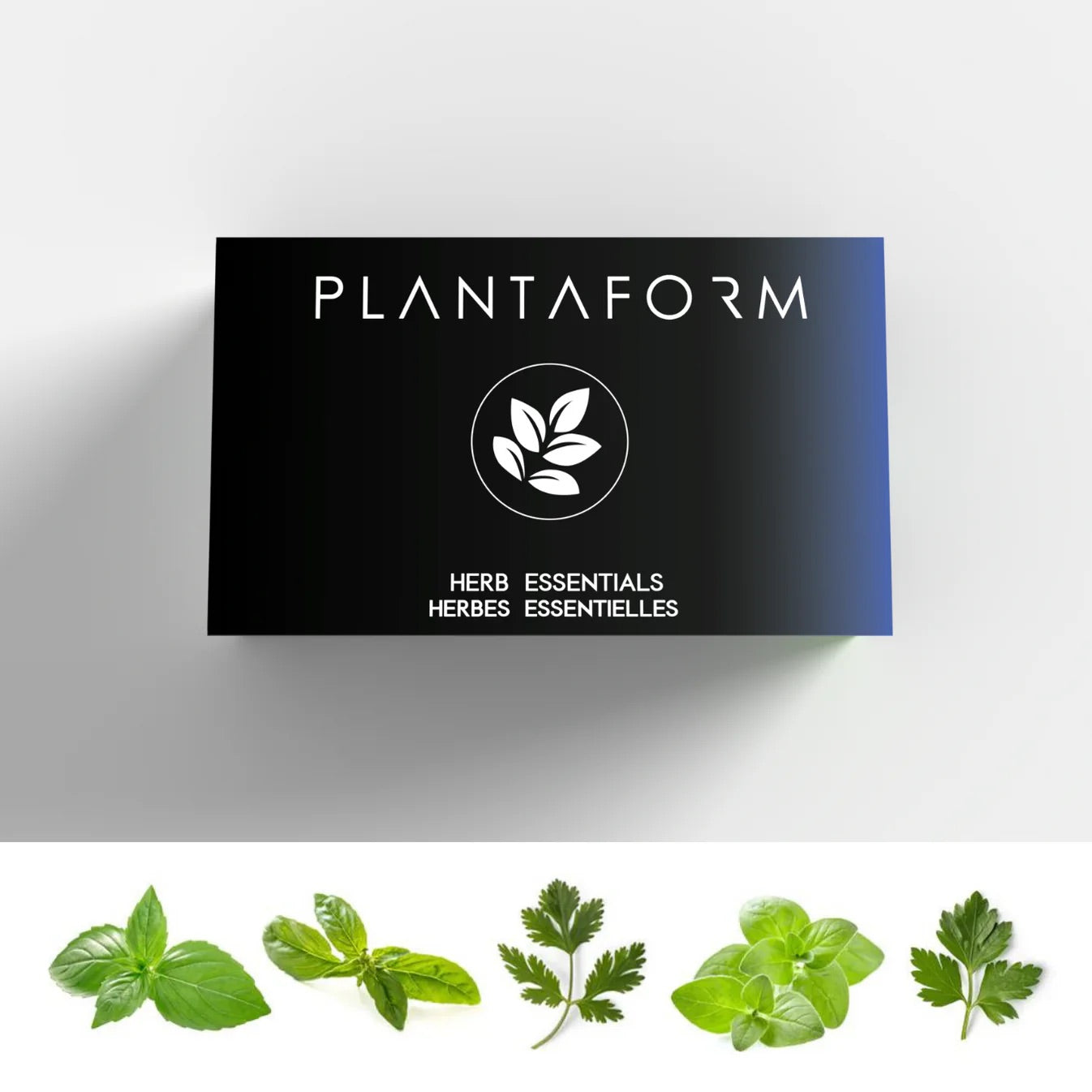 Essential herbs