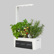 Hydrogarden 3 - Ermonix