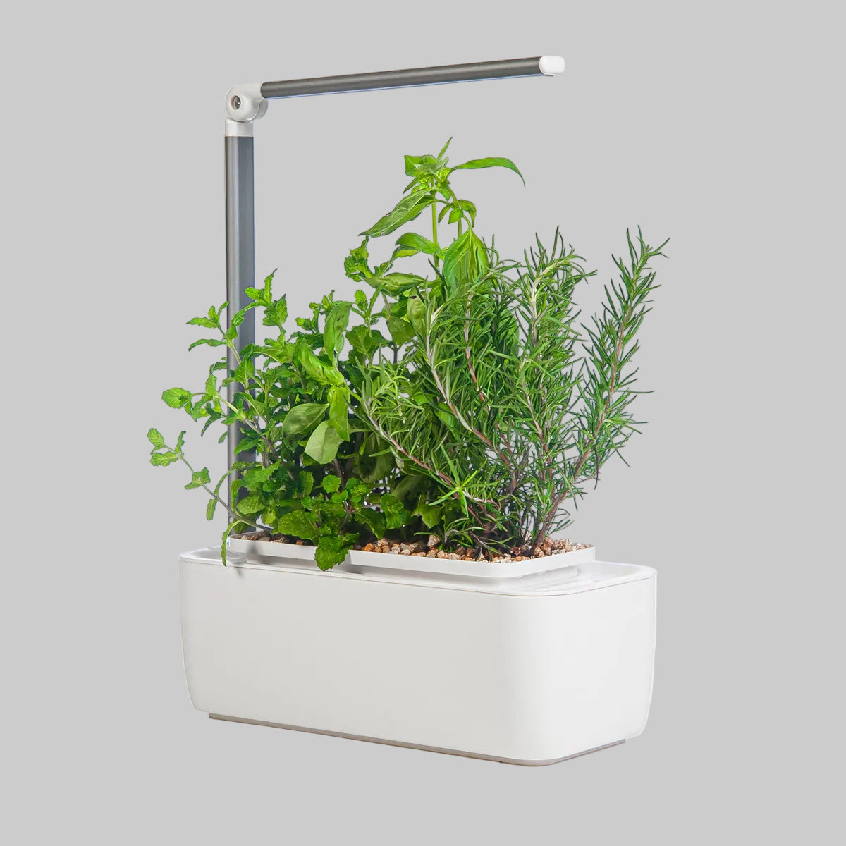 Hydrogarden CLASSIC - Ermonix