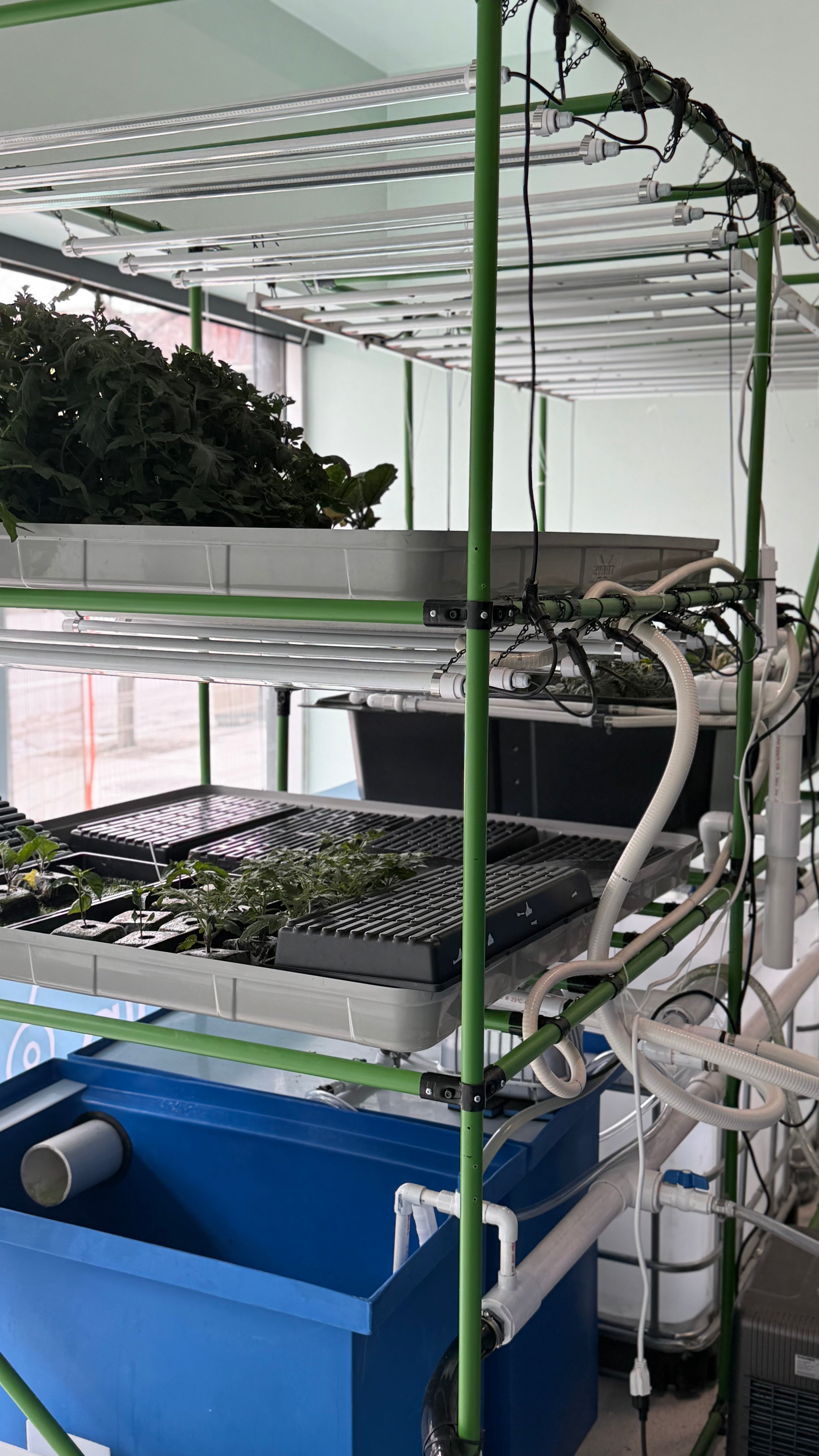 Agriculture du Coin