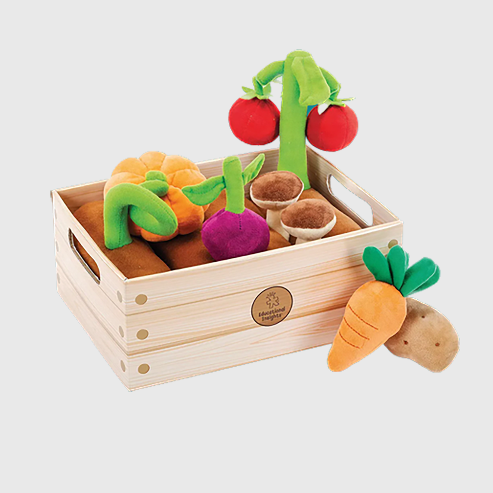 VEGETABLE GARDEN – EDUCATIONAL INSIGHTS