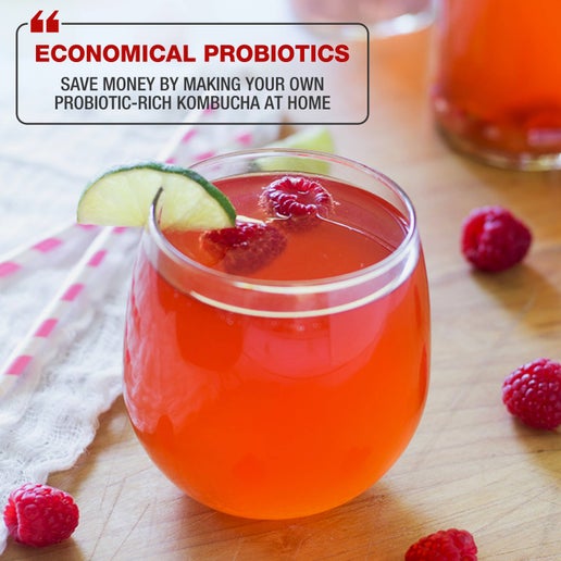 Complete Kombucha Starter Kit for Mason Jars