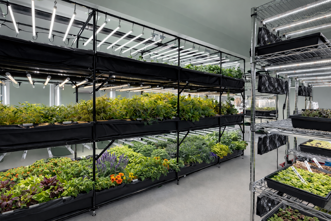 Agriculture du Coin