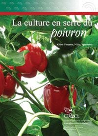 Greenhouse cultivation of peppers