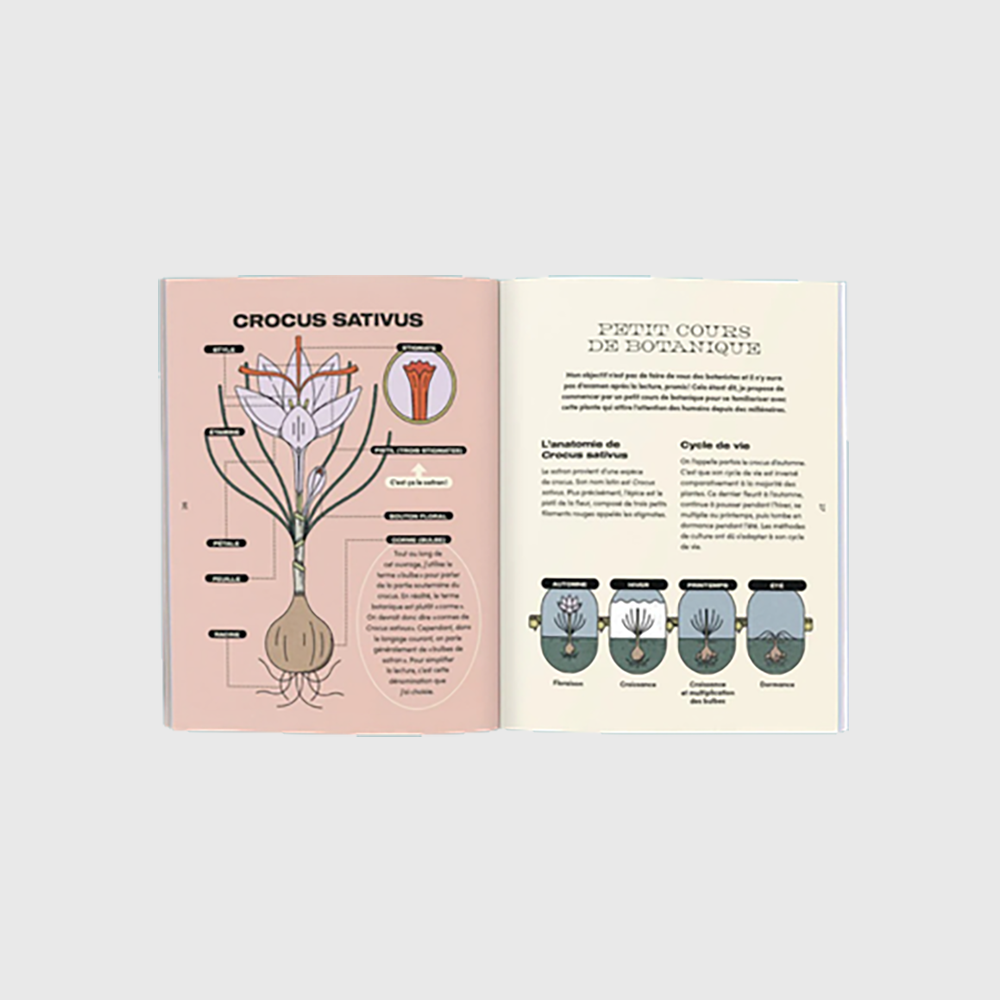The Little Illustrated Guide to Saffron - The Urban Nutritionist
