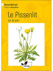 Dandelion, the gold of the meadow!