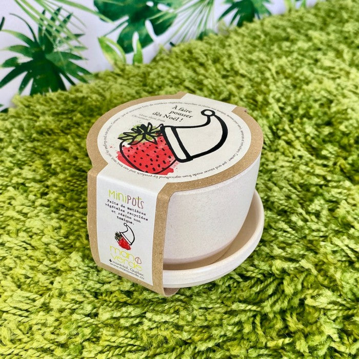 Minipots : À faire pousser dès Noel (fraises)