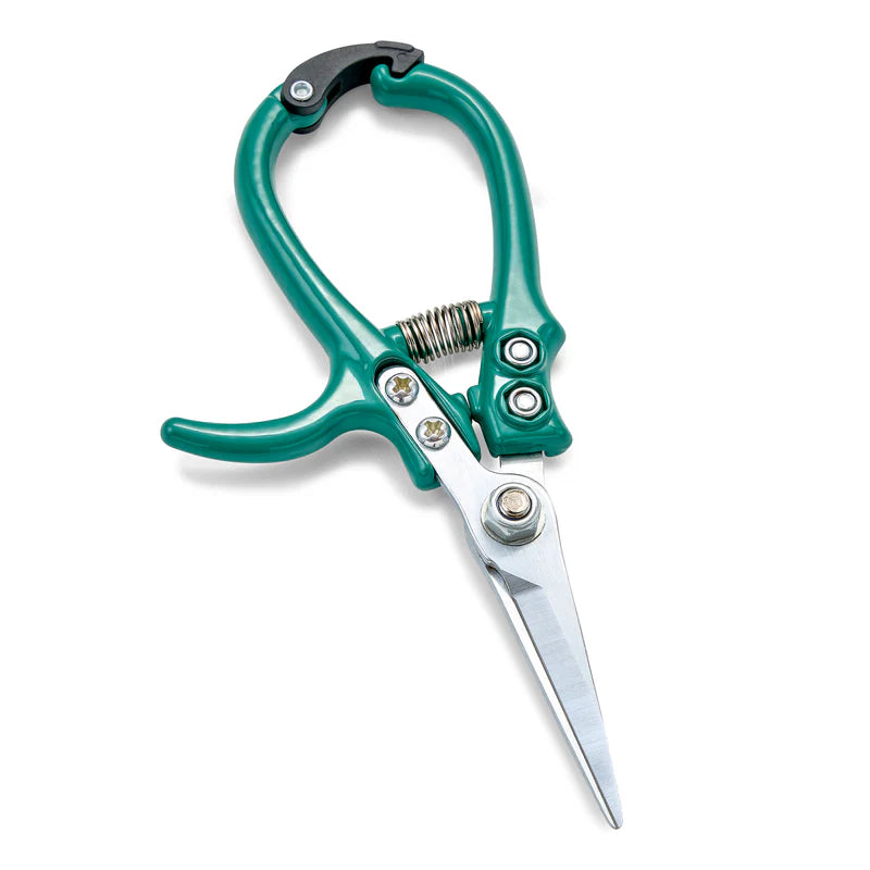 Ciseaux (Shears)