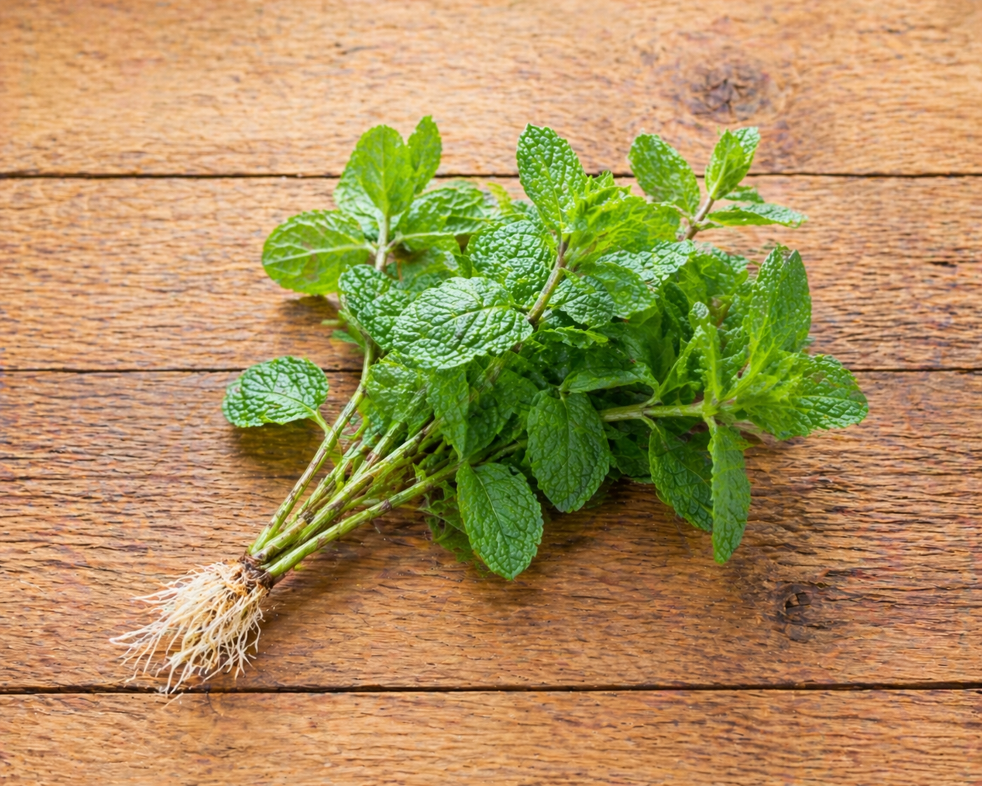 Fines Herbes