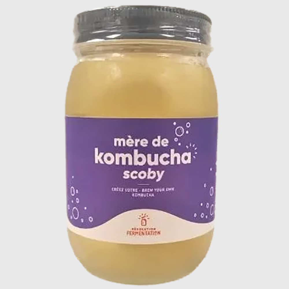Mother Kombucha - 450ml glass packaging