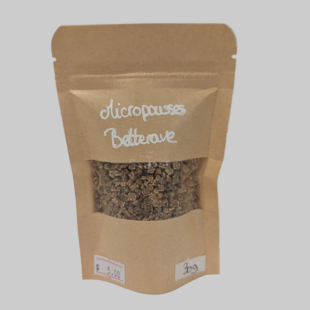 Semences pour micropousses - Agriculture du coin