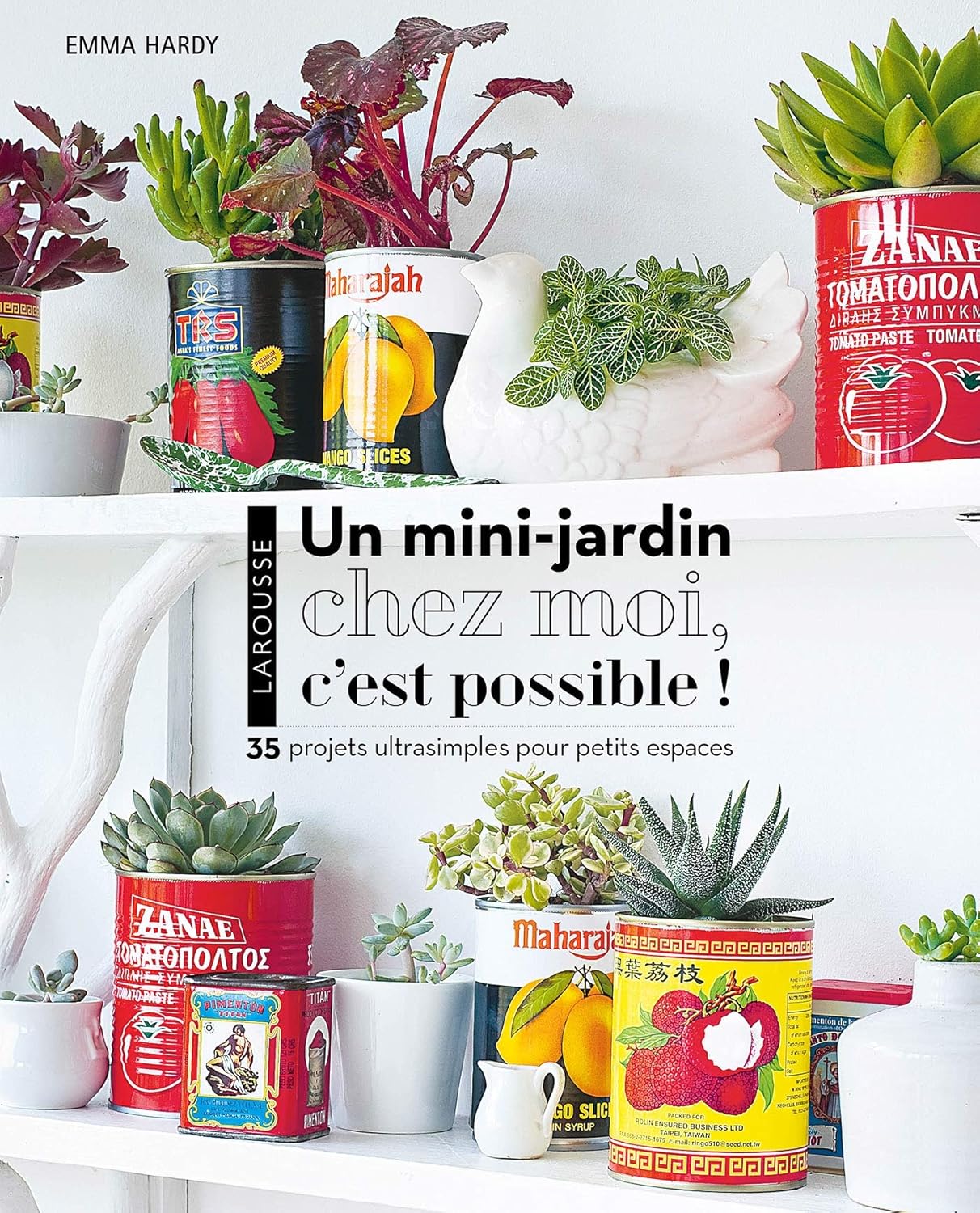 A mini garden at home is possible!
