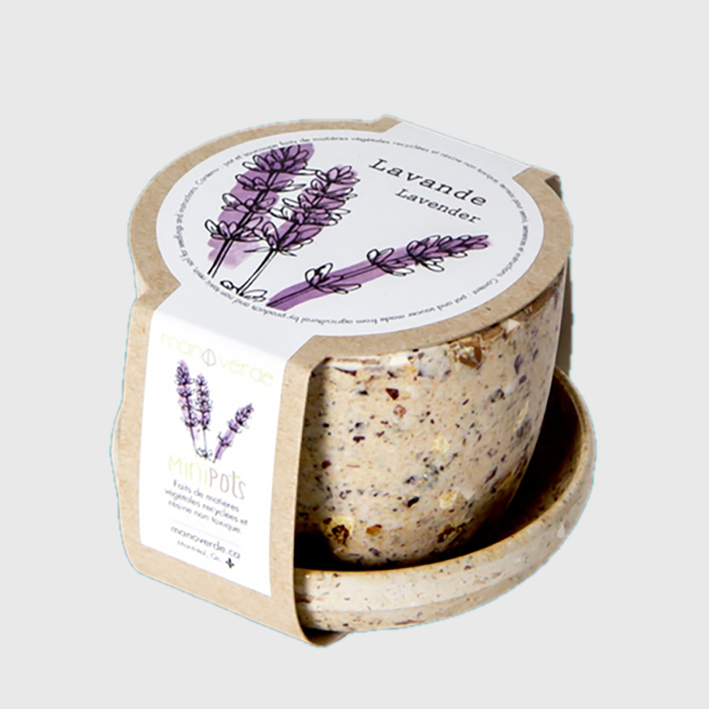 Minipots: Lavender