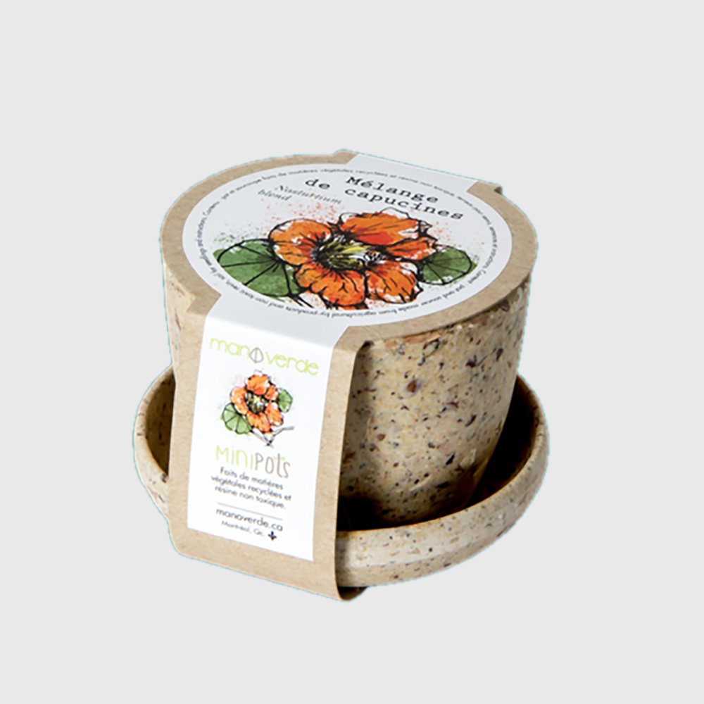 Minipots: Mixed nasturtiums