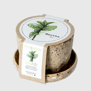 Minipots: Mint