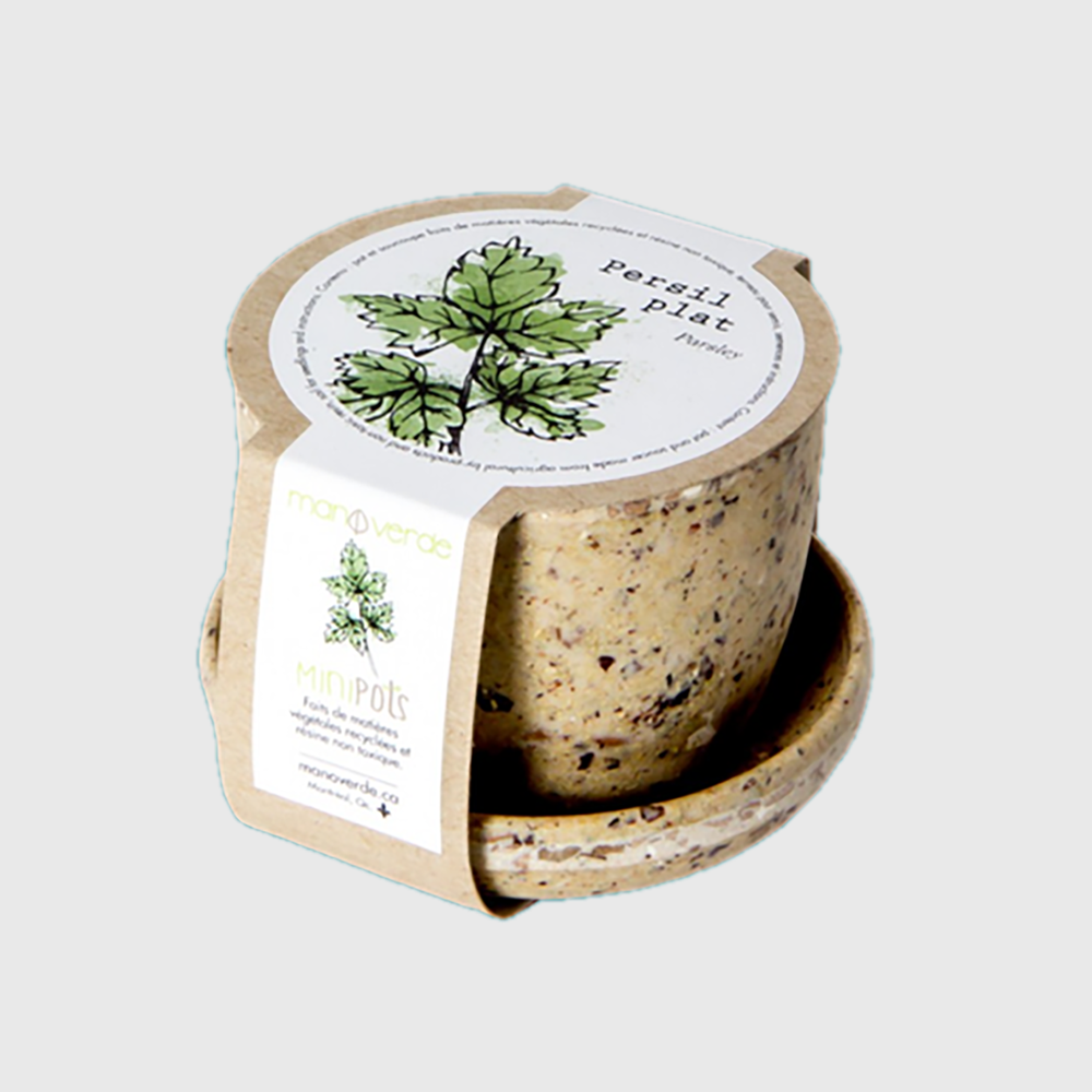 Minipots: Flat-leaf parsley
