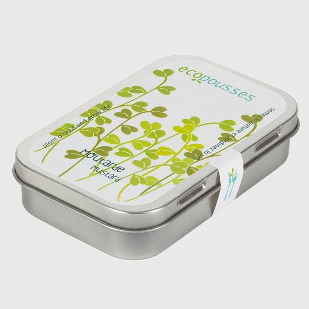 Mustard - organic seed box