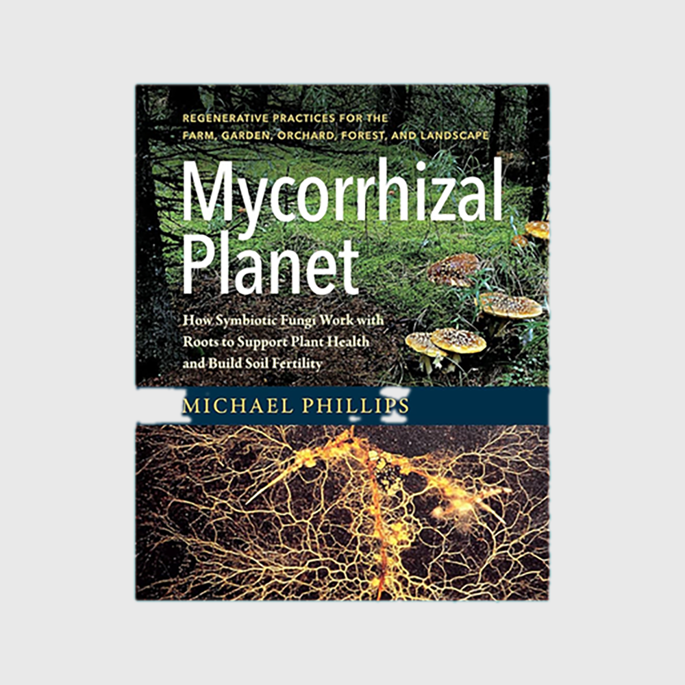 Mycorrhizal Planet: How Symbiotic Fungi Work with Roots to Support Plant Health and Build Soil Fertility