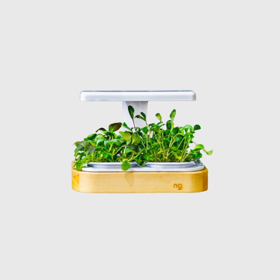 Parfait pour faire ses micropousse sur son comptoir de cuisine!
