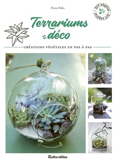 Terraniums Déco - Flore Palix