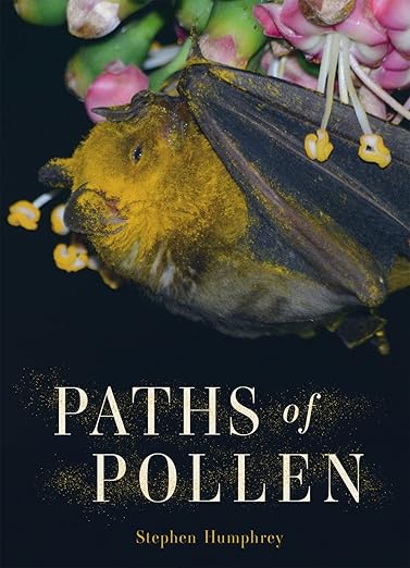 Paths of Pollen