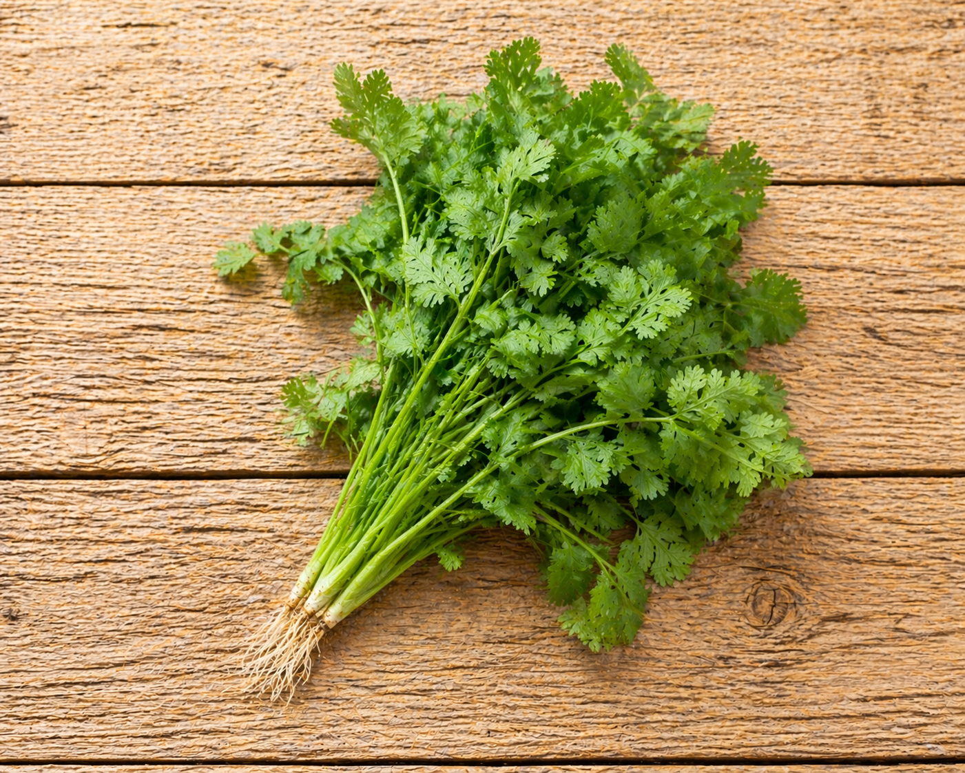 Fines Herbes