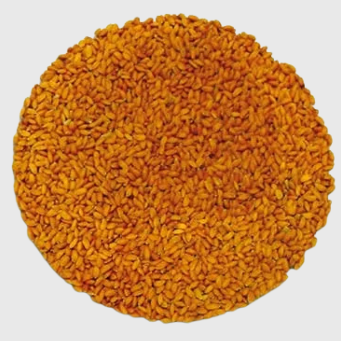 Cresson à germer - 100g