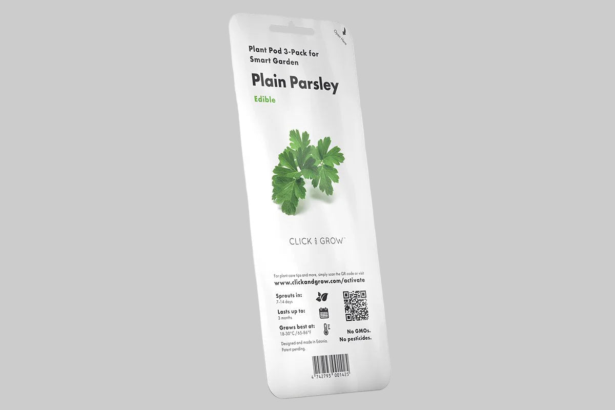 Gousses de plantes de persil plat
